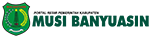 Pemerintah Kabupaten musi banyuasin